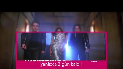 100th Episode Countdown - 3 Days  Steven R. McQueen is ready for the 100th episode of [Altyazılı]