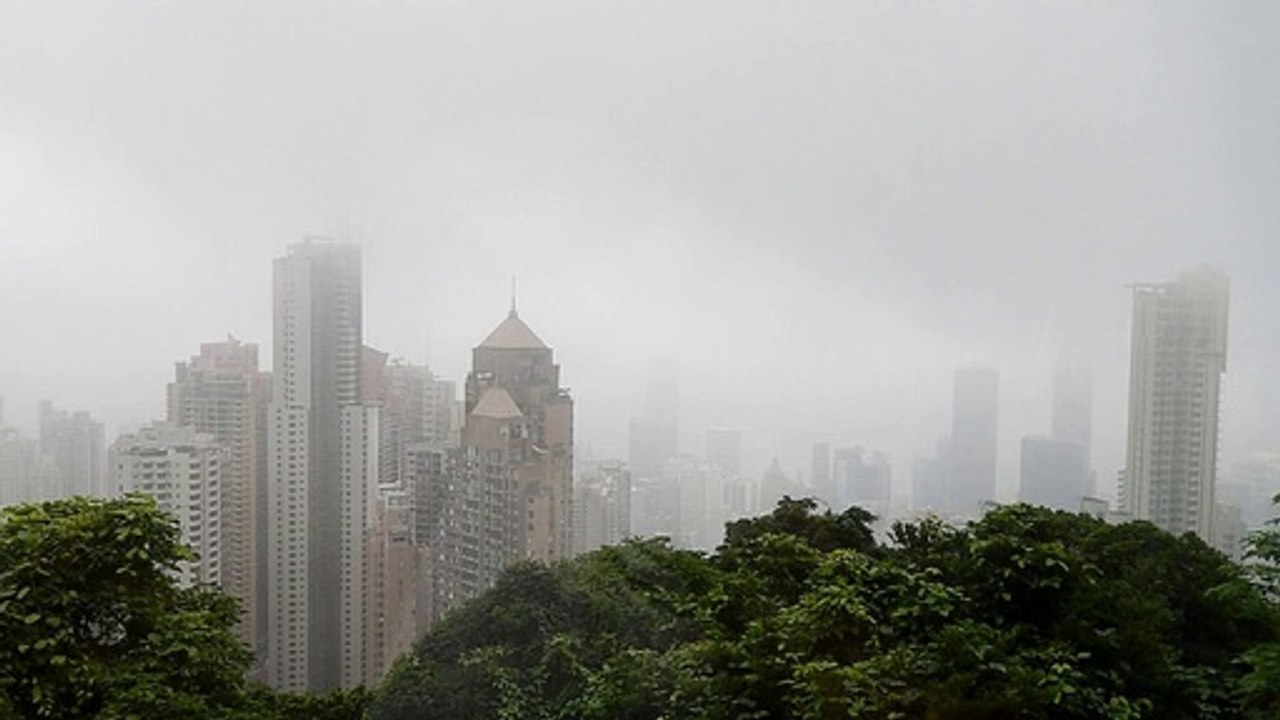 What Every CMO Should Know About SEO