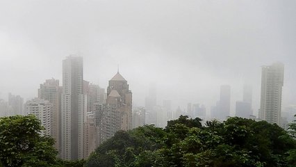 What Every CMO Should Know About SEO