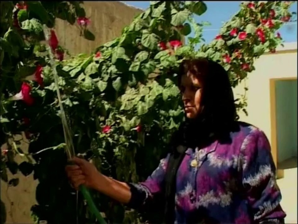 VOM AUFBAU DES NAZO-ZENTRUMS - EIN BRIEF AUS AFGHANISTAN