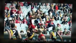 Watch - Casey Scorpions v Coburg Tigers - AFL live stream - Australia - VFL - afl football - afl fixtures - nrl live scores