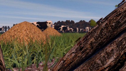 الحشرات المناسبة للأكل