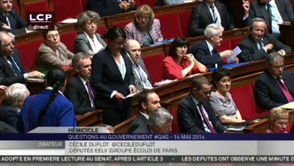 Video herunterladen: Cécile Duflot chahutée à l'Assemblée pour son retour