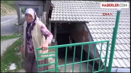 Ağabeyi Öldü Raporlu Olan Kardeşi Kurtuldu