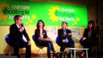 Européennes 2014 : Sandrine Bélier, Européenne et Ecologiste