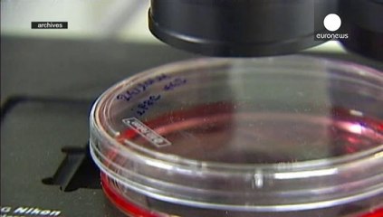 El coronavirus no es una emergencia internacional según la OMS