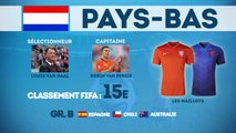 Coupe du Monde 2014 : focus sur les Pays-Bas !