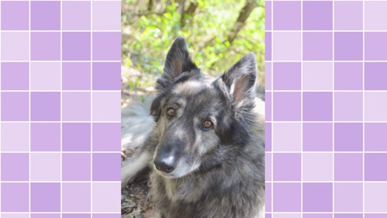 Search Engine Optimisation: Black Hat or White Hat SEO?