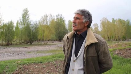 Ağrı'da Sel Baskını, 150 Dönüm Arazi Sular Altında