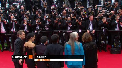 The Red Carpet of the Jury Members