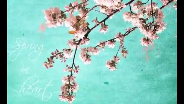 ARIRANG - Guitar Solo, Arr. Thanh Nha