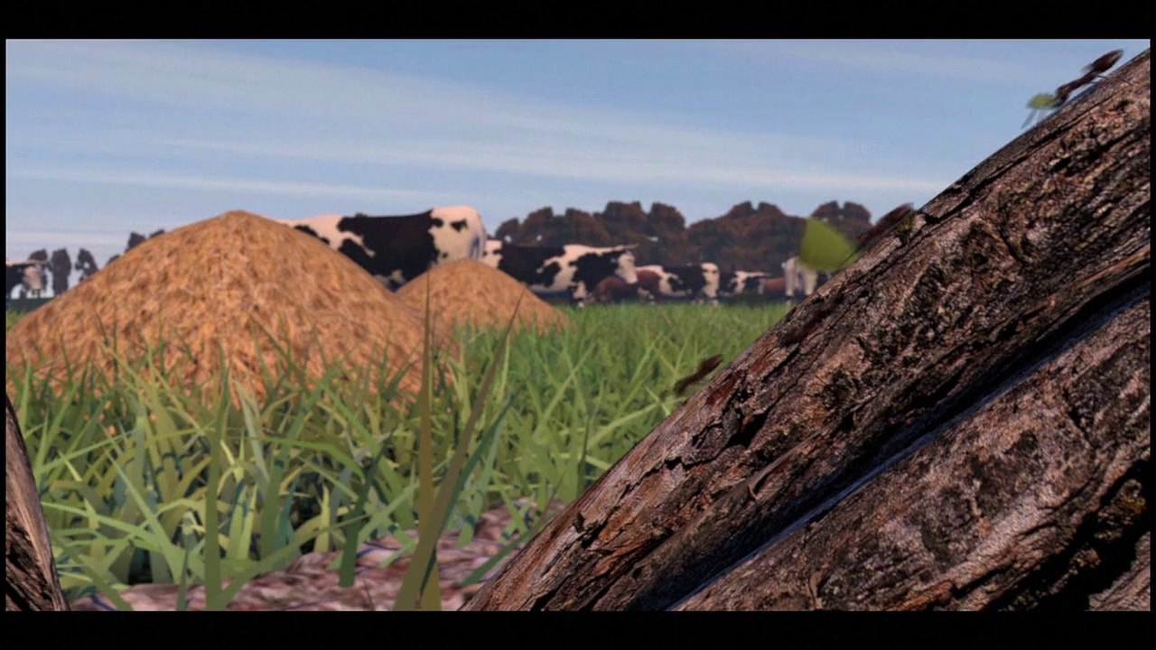 Insectos comestibles