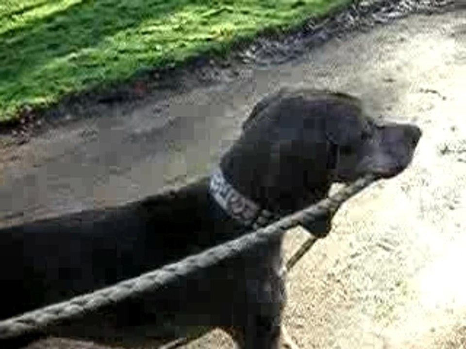 Armen, 21 janv07 (13)