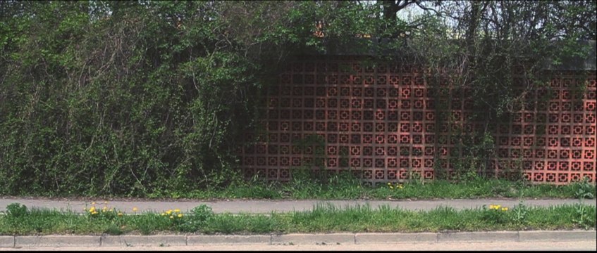 Mám Ťa rád, Dunajská Streda!