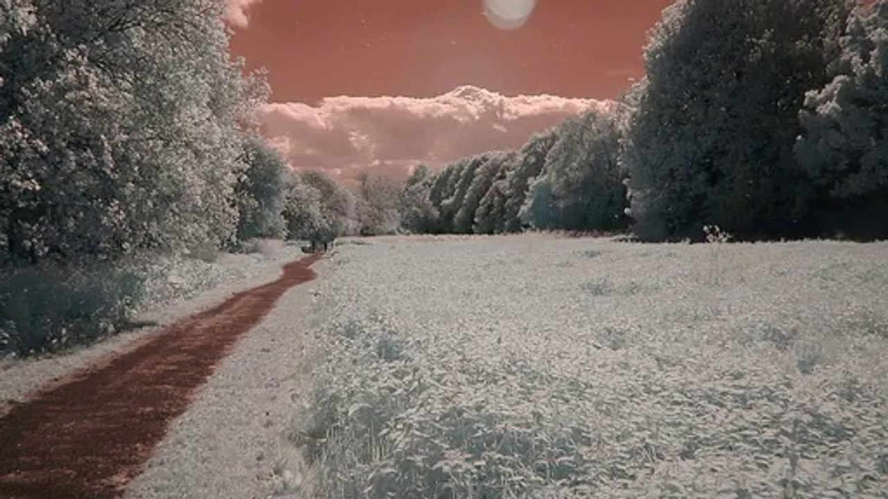 14 Tips For Writing An Effective Online Survey