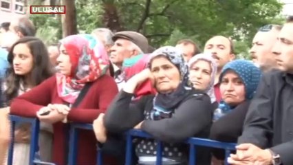Her şeyden habersiz