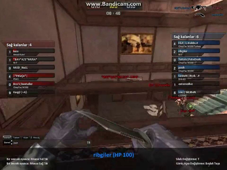 ribgiler
