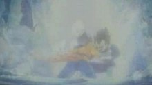 Vegetas Fight
