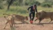 Kevin Richardson plays soccer with... lions