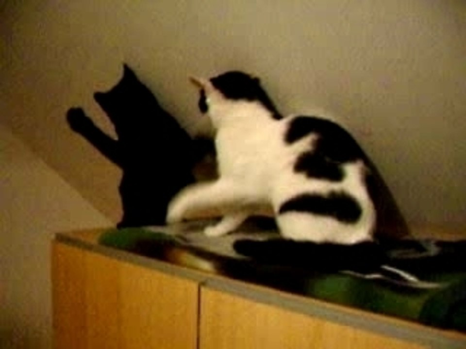 pepsi et luna 2