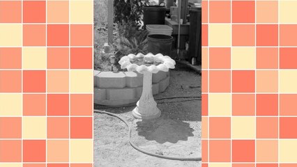 Multiply Your Sales Through Affiliate Programs