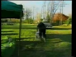 Big Boss Man & Big Show Feud