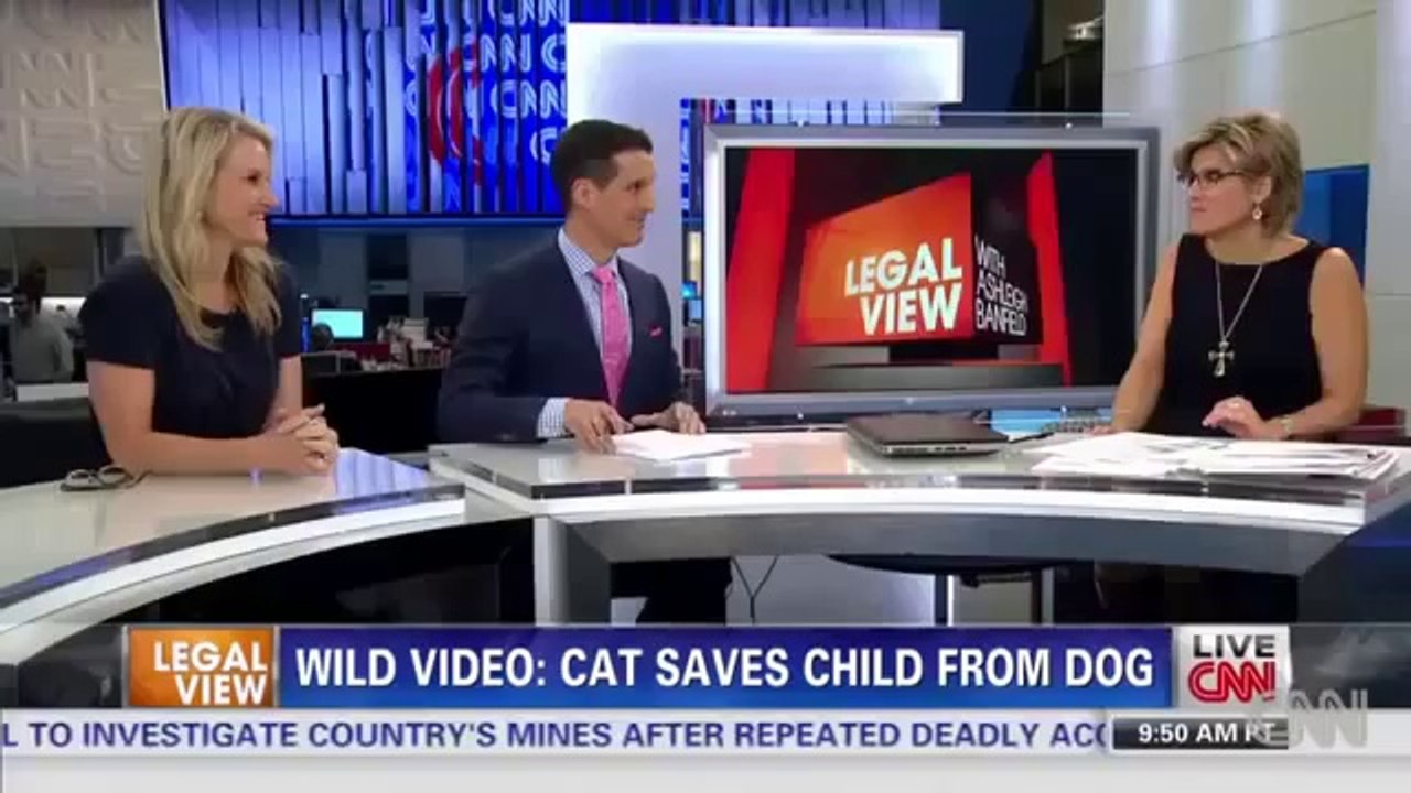 Hero Cat Saves Young Boy From Dog Attack In Bakersfield - Saves Child CCTV VIDEO Kid