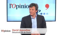 L'Opinion de David Assouline