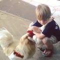 This is so sweet, Amazing & Funny Video