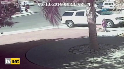 Kahraman kedi çocuğu köpekten kurtardı