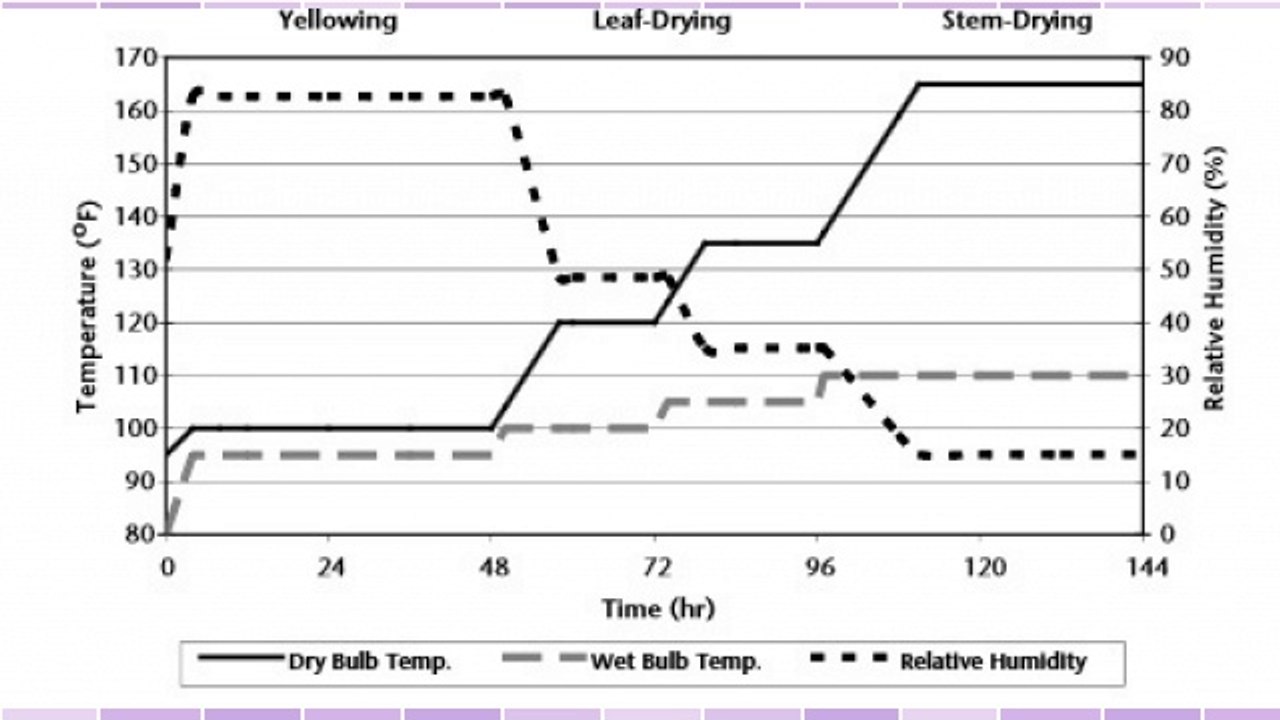 What Printing Process Will Work Best For Your Project