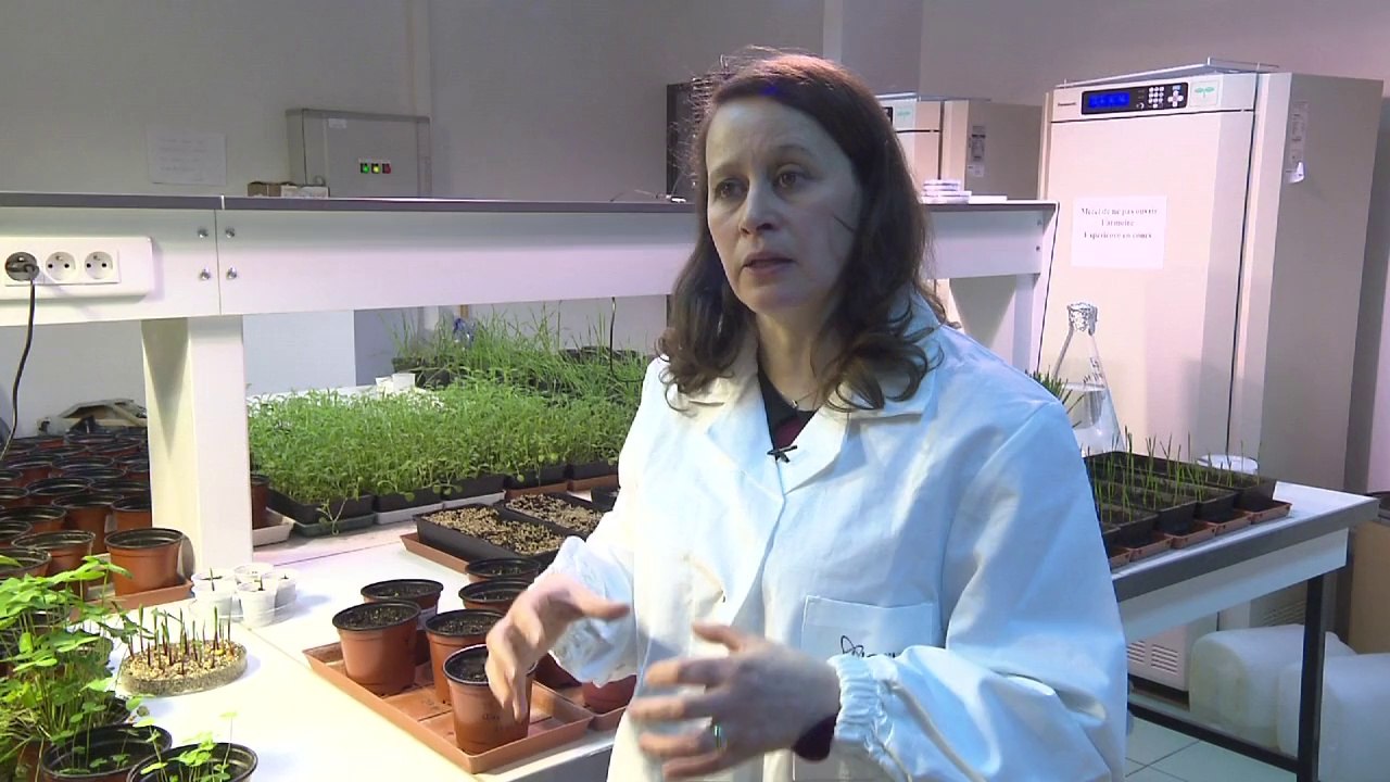 Plus de Sciences 23 "Champignon"