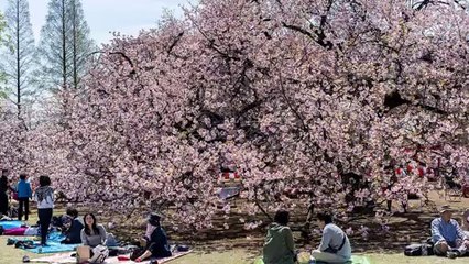 Simple Steps To Starting A Coupon Club!