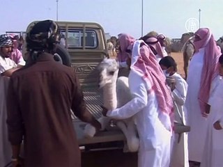 Вирус MERS не несёт глобальной угрозы