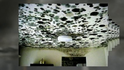 Nashville Home Inspector | Nashville Home Inspection