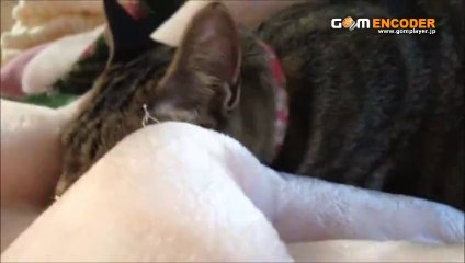 誰もがHappyになる結婚式ガイドブック　実践 評価 評判 検証 動画 ブログ 特典 購入 レビュー