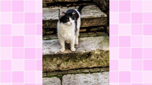 Link Exchange and Search Engine Optimization