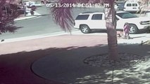 Family Cat Saves Boy From Attacking Dog
