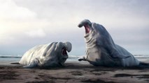 Des éléphants de mer hilarants dans ce cartoon! Mort de rire...