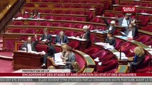 Proposition de loi sur l'encadrement des stages et à l'amélioration du statut des stagiaires - En séance