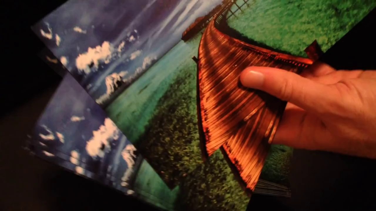 Half Page Flyer Printing - SameDayPrinting.com