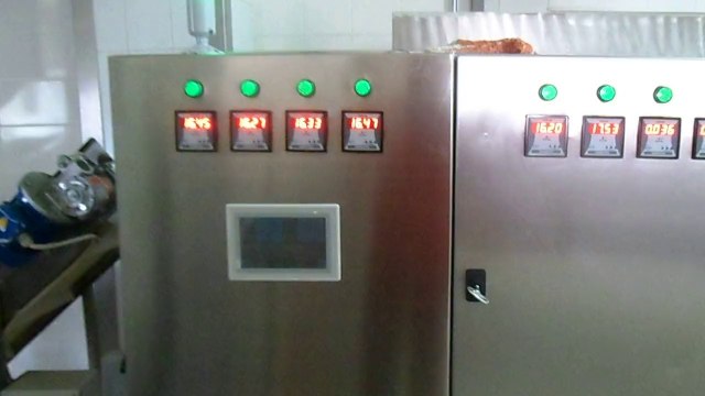 cips fıstık kızartma hattı