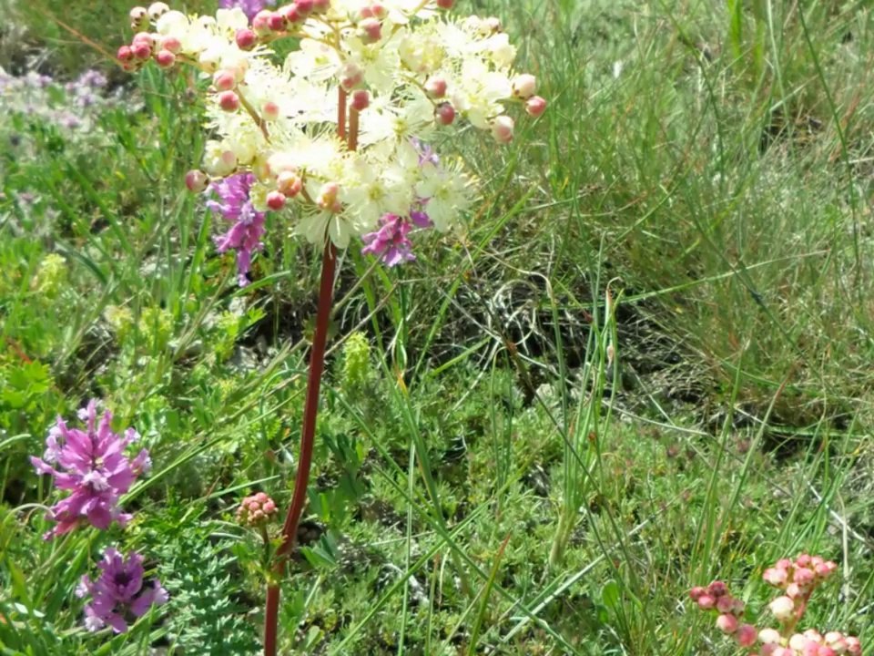 Wyprawa rowerowa na Krym 2011 część 5