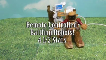 CIS 2.4GHz RC Boxing Battle Robot Pair Review