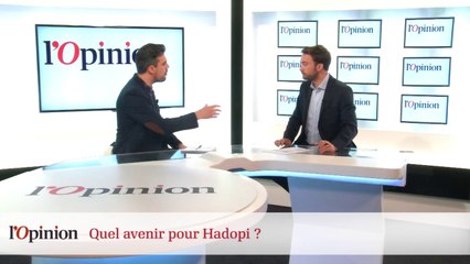 Décryptage : Quel avenir pour Hadopi ?