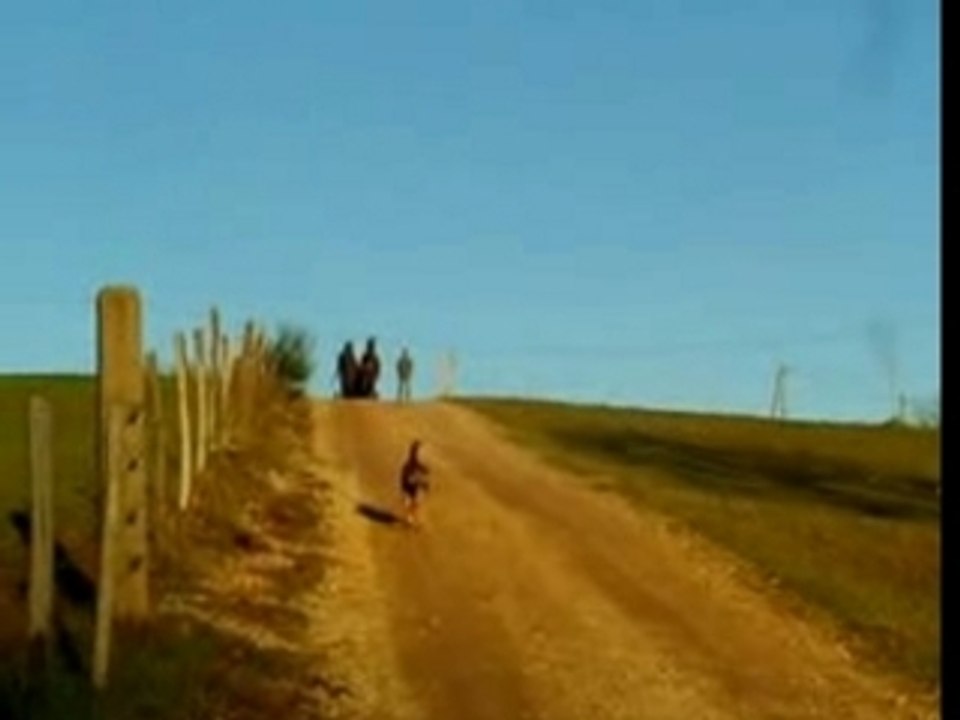 L'Attelage c'est facile... la preuve !