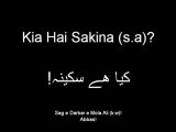 Kia Hai Sakina (s.a.) By Meer Hassan Meer!