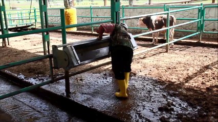 DEVİRMELİ PASLANMAZ SULUK