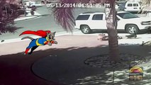 Cat saves young boy from dog attack - My Cat Saved My Son [Hero cat]