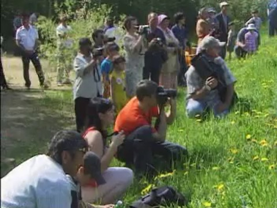 Жизнь на алмазах. Мирный